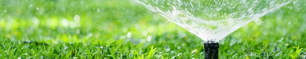 Ogrodnik Wołomin – pielęgnacja ogrodów i terenów zielonych