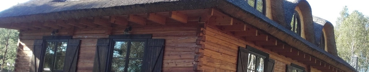Budowa domów drewnianych Płock
