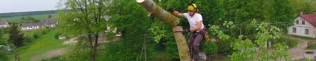 Usługi rębakiem Ciechanów