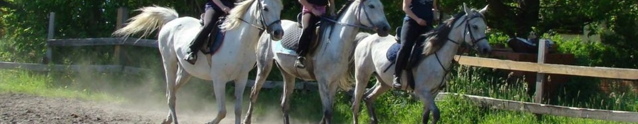 Nauka jazdy konnej Serock