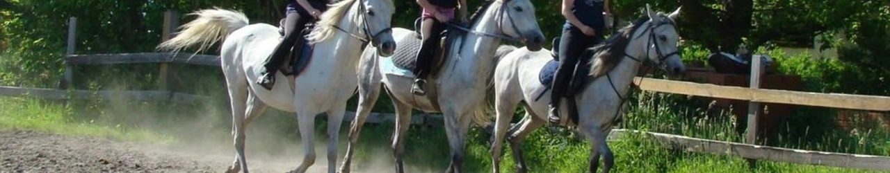 Nauka jazdy konnej Legionowo