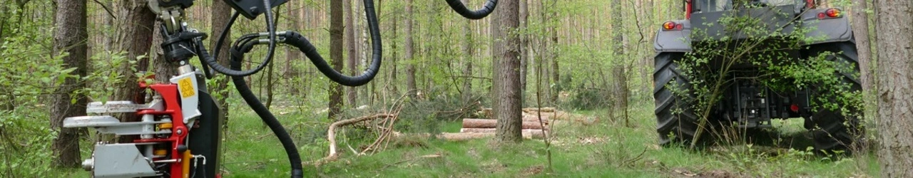 Prace leśne Leszno
