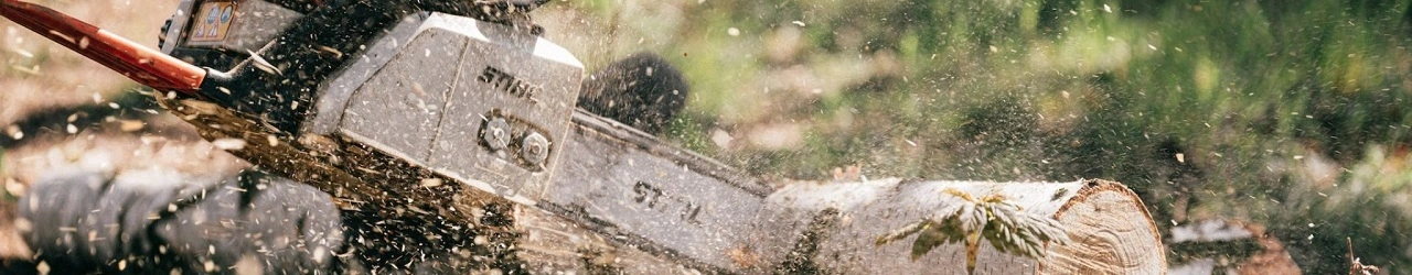 Wycinka drzew Otwock – arborysta i pielęgnacja drzew