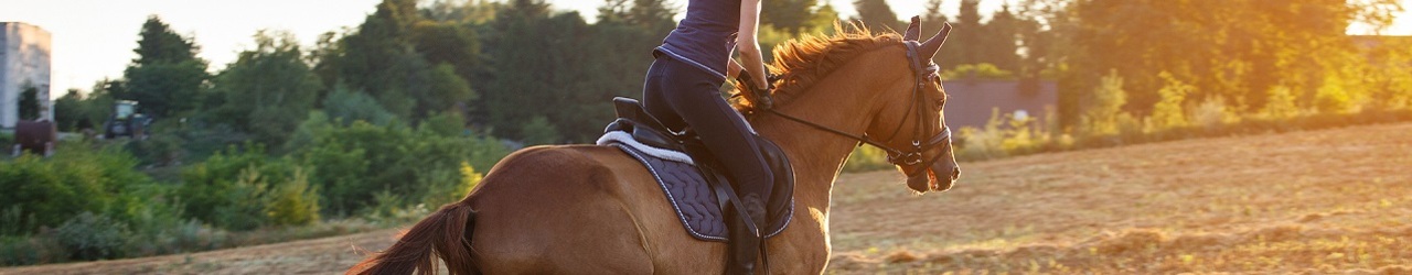 Nauka jazdy konnej Bydgoszcz – trening jeździecki i obozy konne