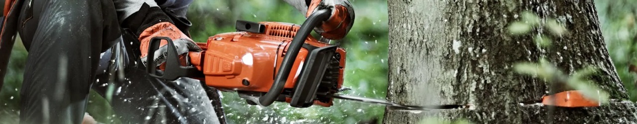 Wycinka drzew Kraków – usługi alpinistyczne, zwyżka, drzewołazi