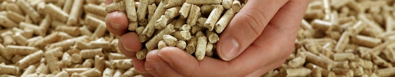 Pellet Włocławek – sprzedaż i transport pelletu