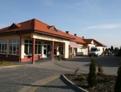 Kwiaty Chojnice