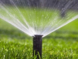 Systemy nawadniania Kraków – montaż i serwis instalacji ogrodowych