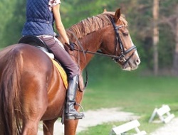 Nauka jazdy konnej Bydgoszcz – trening jeździecki i obozy konne