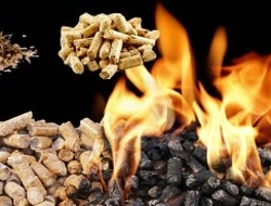 Skład opału Aleksandrów Kujawski – Węgiel, Groszek, Pellet, Brykiet