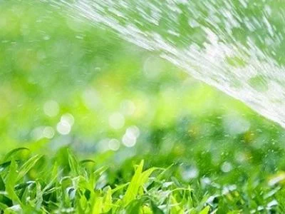 Nawadnianie ogrodów Wołomin – montaż systemów nawadniających