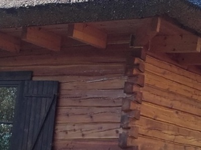Budowa domów drewnianych Płock
