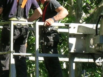 Wycinka drzew Ciechanów