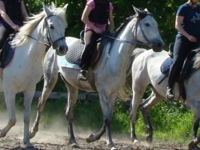 Nauka jazdy konnej Serock