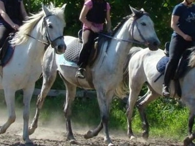 Nauka jazdy konnej Legionowo