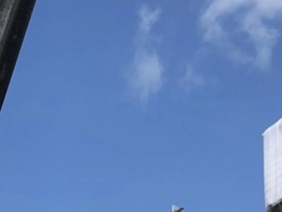 Usługi podnośnikiem koszowym Piła