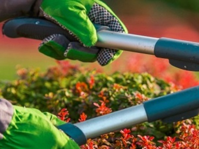 Usługi ogrodnicze Sicienko – zakładanie i pielęgnacja ogrodów