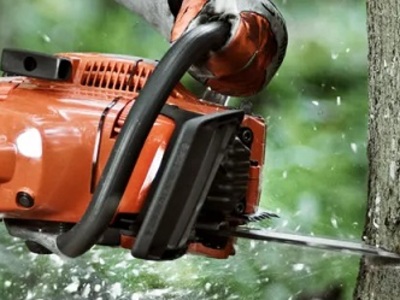 Wycinka drzew Kraków – usługi alpinistyczne, zwyżka, drzewołazi